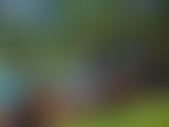 Location de villa pour 2 personnes en Corse-du-Sud. Evadez-vous en couple cet été ! 