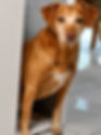 ChatGPT Image 19_edited.jpg