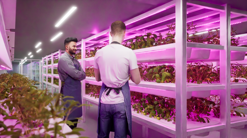 Level 1 Smart Farm.png