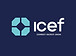 ICEF 
