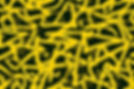 AdobeStock_1667909181_edited_edited.jpg