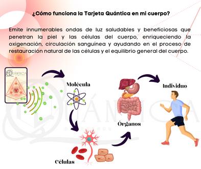 ¿Cómo funciona la Tarjeta Quántica en mi cuerpo.png