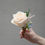 Thumbnail: Light Rose Boutonniere