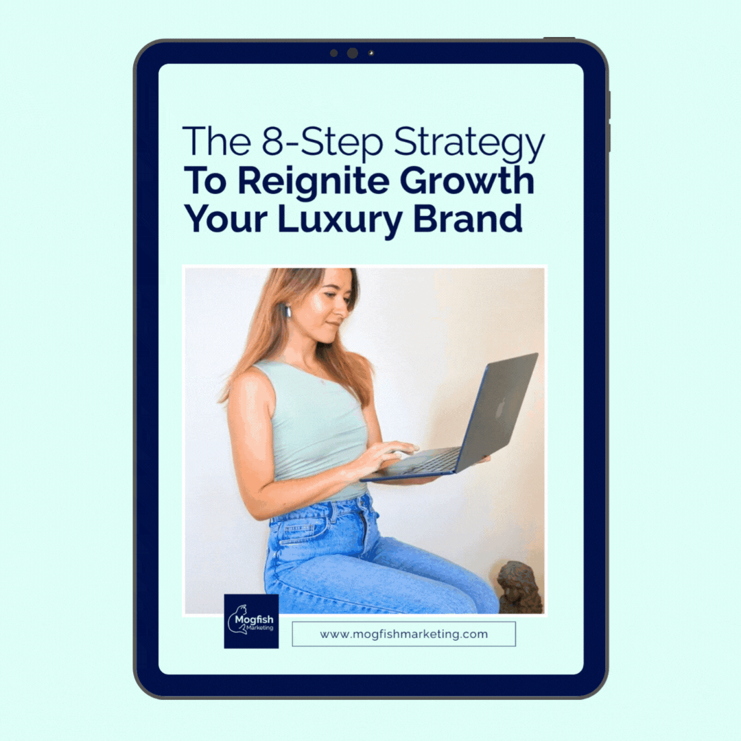 8-step marketing strategy by Mogfish Marketing