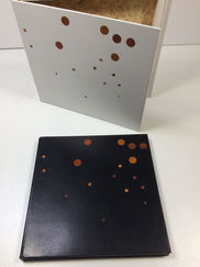 le magasin des très beaux Livres, uniques et rares