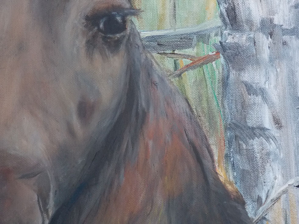 Thumbnail: Spruce Moose
