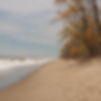 Indiana Dunes national park beach.jpg