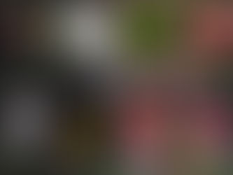 The OSGB expands support for orchid lovers