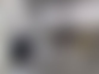 Unveiling Our Journey: Behind the Scenes of our progress