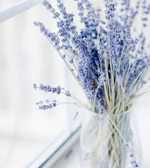 Coconut Lavender Ice Cream (Vegan)