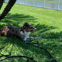 Rich & Penny, Cape Canaveral