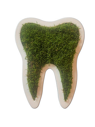 moss tooth.jpg