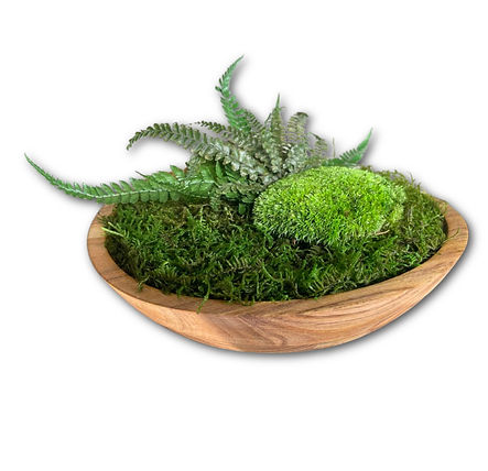 website Moss Wood Decor 10_ bowl - 025 moss care guide page.jpg