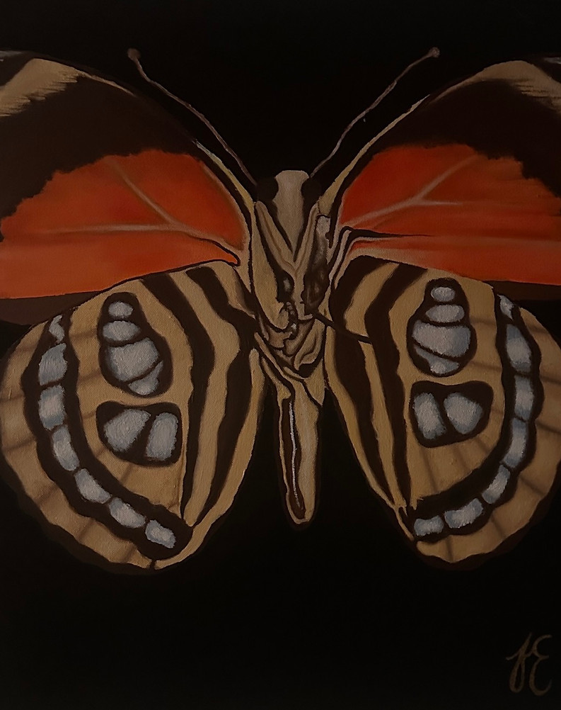 photo aug 09 2024, 4 53 26 am.jpg