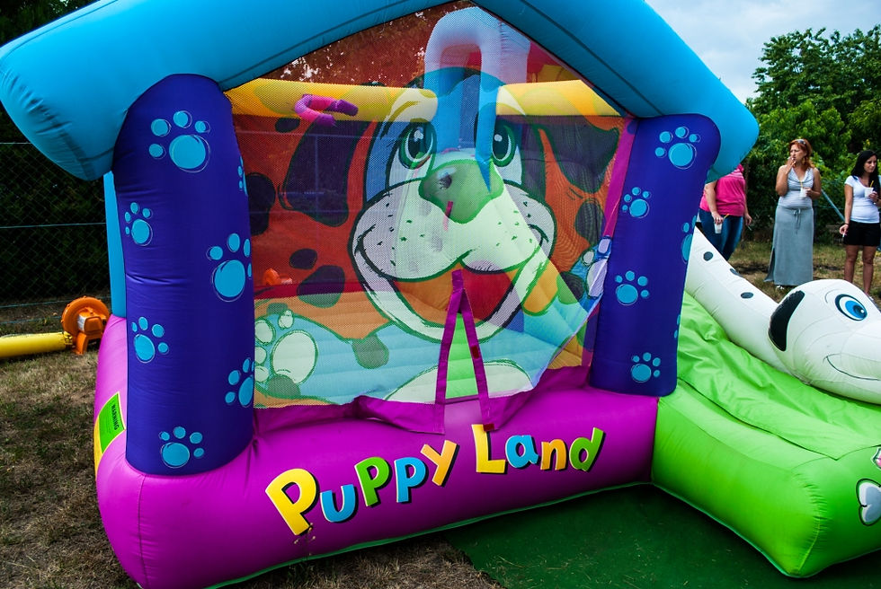 Szülinapi légvár és csúszda