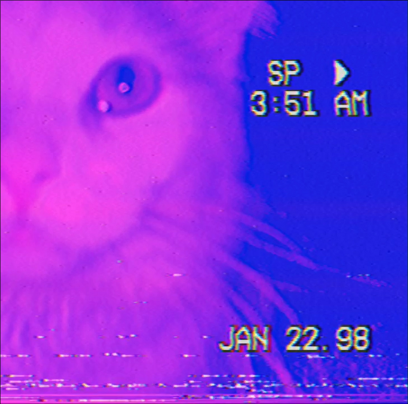 daydreaming at night