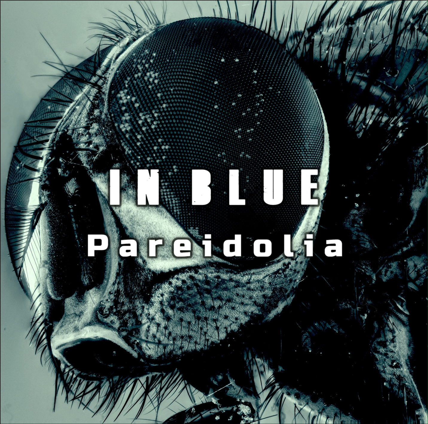Pareidolia