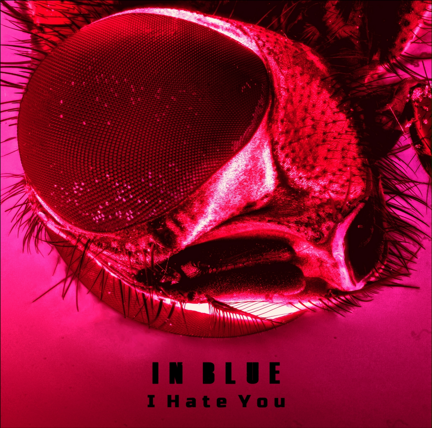 I Hate You (Single)