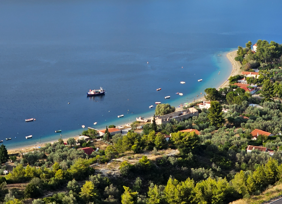 Awaken Shakti - The Pulse of Manifestation