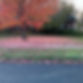 Leaf removal season is here. Show-Me Mow
