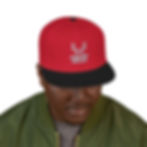 Embroidered Snapback/ Loaded Antler