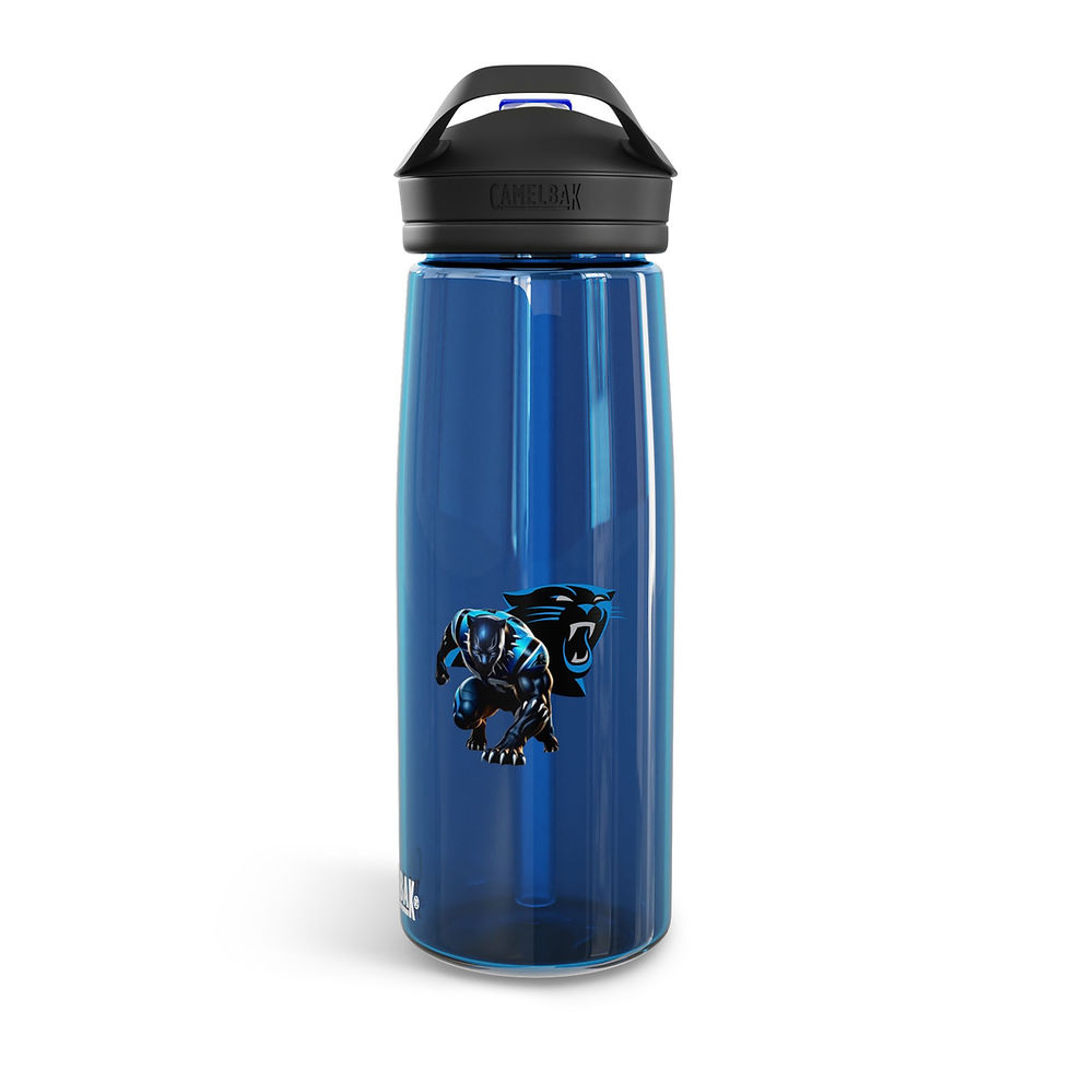 섬네일: Panther/Panthers CamelBak Eddy® 20/25oz