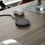 थंबनेल: Wireless Charging Pad with Cartoon Design