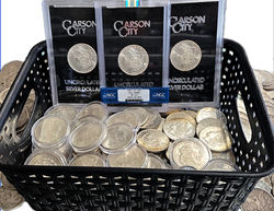 Polish_20260318_115907152