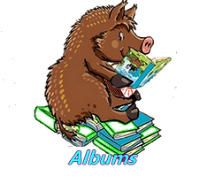vignette2 album2.png