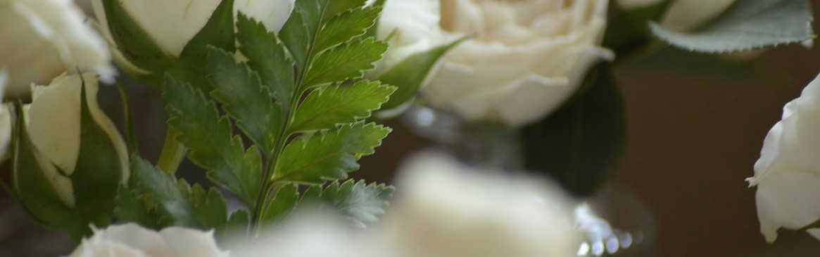 wedding flowers.jpg