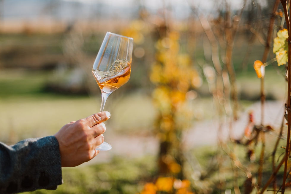 WhatsApp Image 2025-11-10 at 12.03.48 (1).jpeg