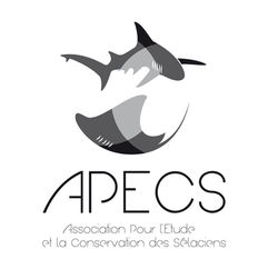 Logo APECS en bloc-05.jpg