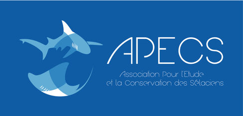 Logo APECS en ligne-04.jpg