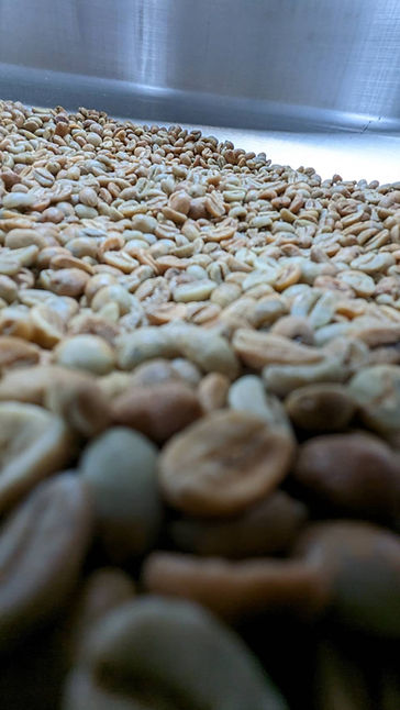 coffee beans.jpg