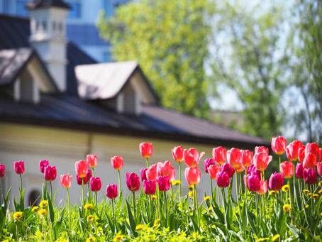 Spring Home Maintenance Tips: Preparing Your Home for the Season