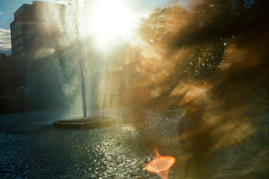 My hair and your freedom, WSP New York .jpg