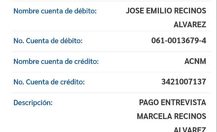 Ejemplo Boleta.jpg