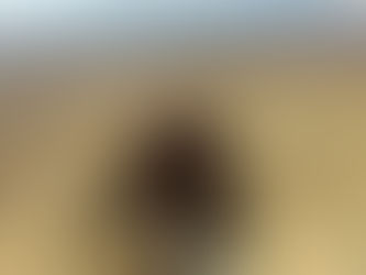 Ancient Wisdom for Modern Times: Environmental Sustainability in Ancient Persia