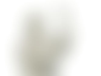 The Pioneering Spirit of Persian Medicine: Tracing the Origins of Hospitals