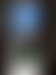 You Can’t Sit There- Matt and Leslie try not to F up in Europe, Ch.2 - Freiburg and Todtnauberg