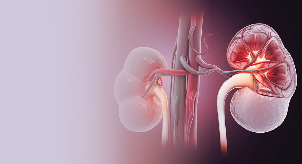 Understanding The Risks And Benefits Of Kidney Transplant Surgery understanding-the-risks-and-benefits-of-kidney-transplant-surgery