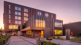 Verge-2.jpg