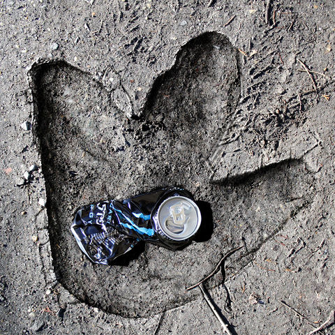 Monster advert illustration depicting a huge monster footprint with a Monster drink can flattened out in the middle of it