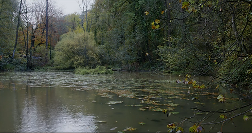 Screenshot 2024-06-10 000555.png