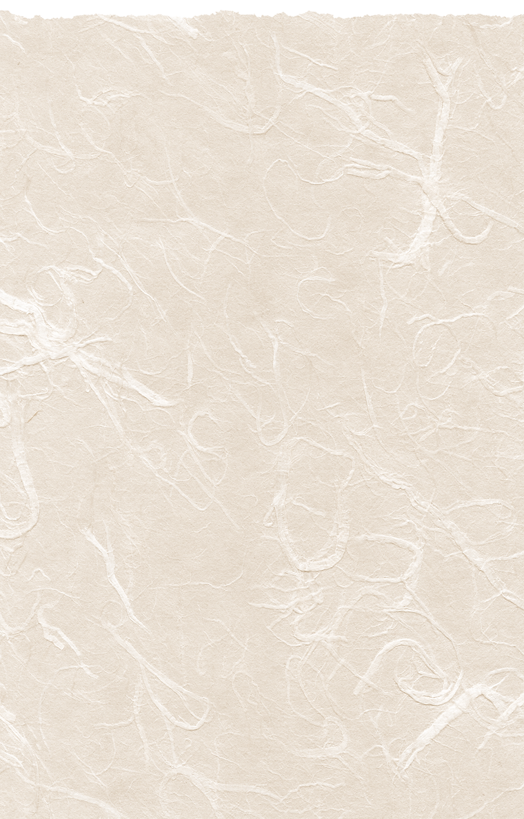 EN Wix Background.png