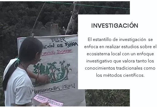 investigacion diana.PNG