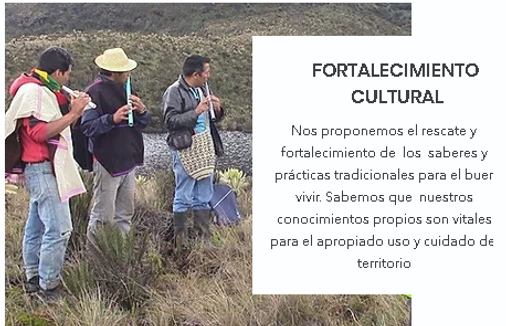 fortalecimiento c.PNG