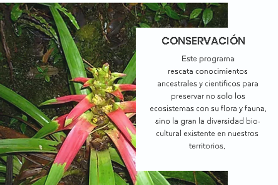 Conservacion.PNG