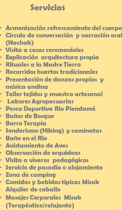 servicios 1.PNG