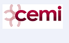 7. Logo Cemi.PNG